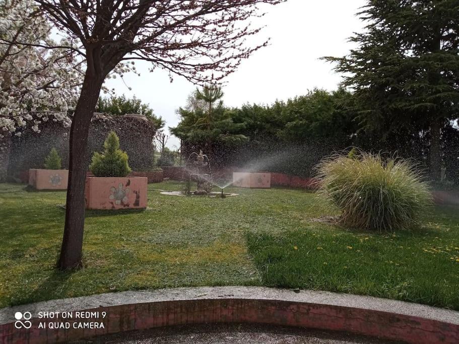Finca Denunez Villa La Mata  Eksteriør billede
