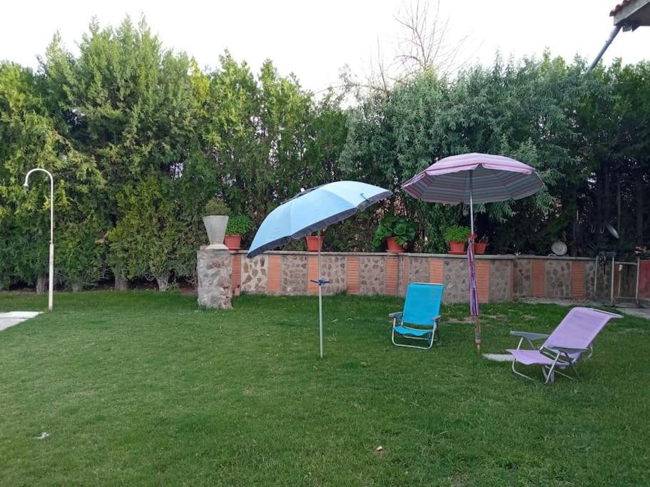 Finca Denunez Villa La Mata  Eksteriør billede
