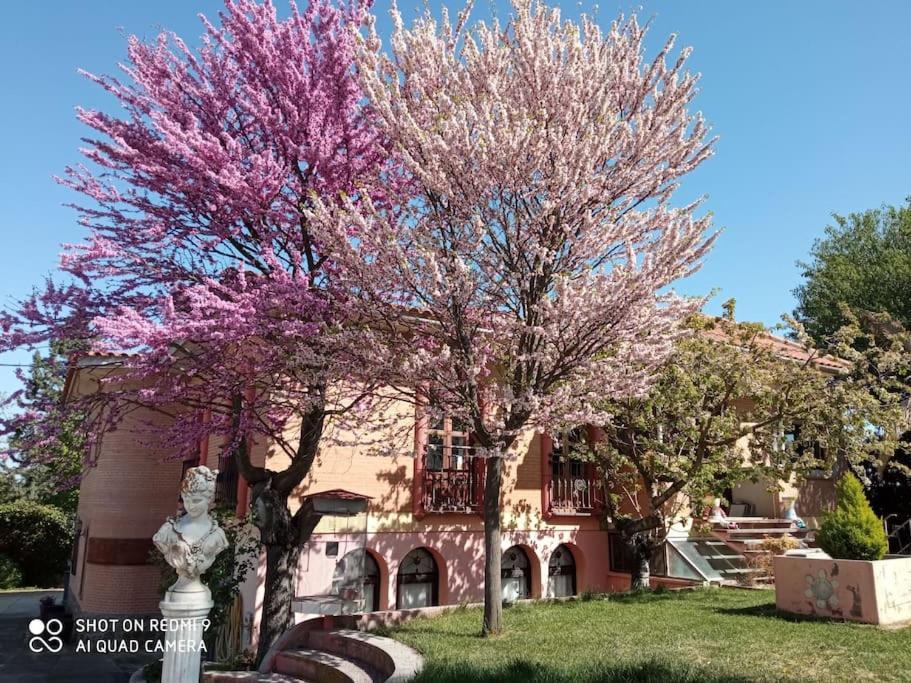 Finca Denunez Villa La Mata  Eksteriør billede