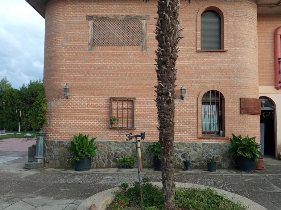 Finca Denunez Villa La Mata  Eksteriør billede